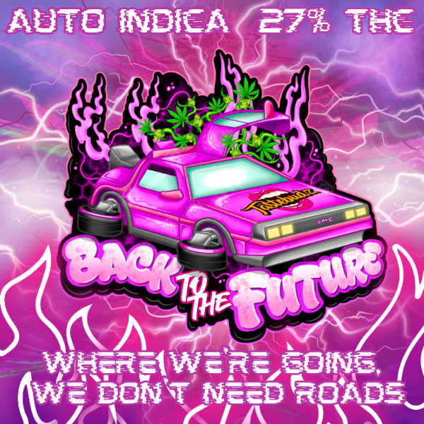 Back to the future [A] 5/pack
