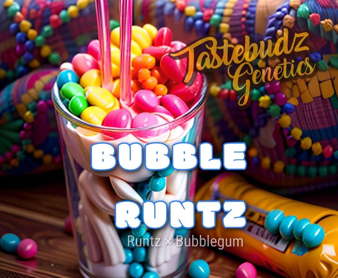 Bubble Runtz [A] 5/pack