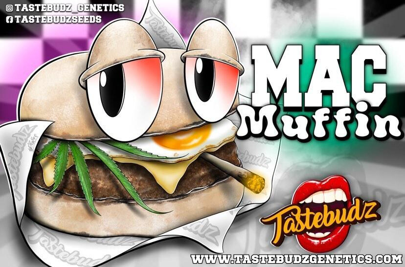 Mac Muffin [A] 5/pack