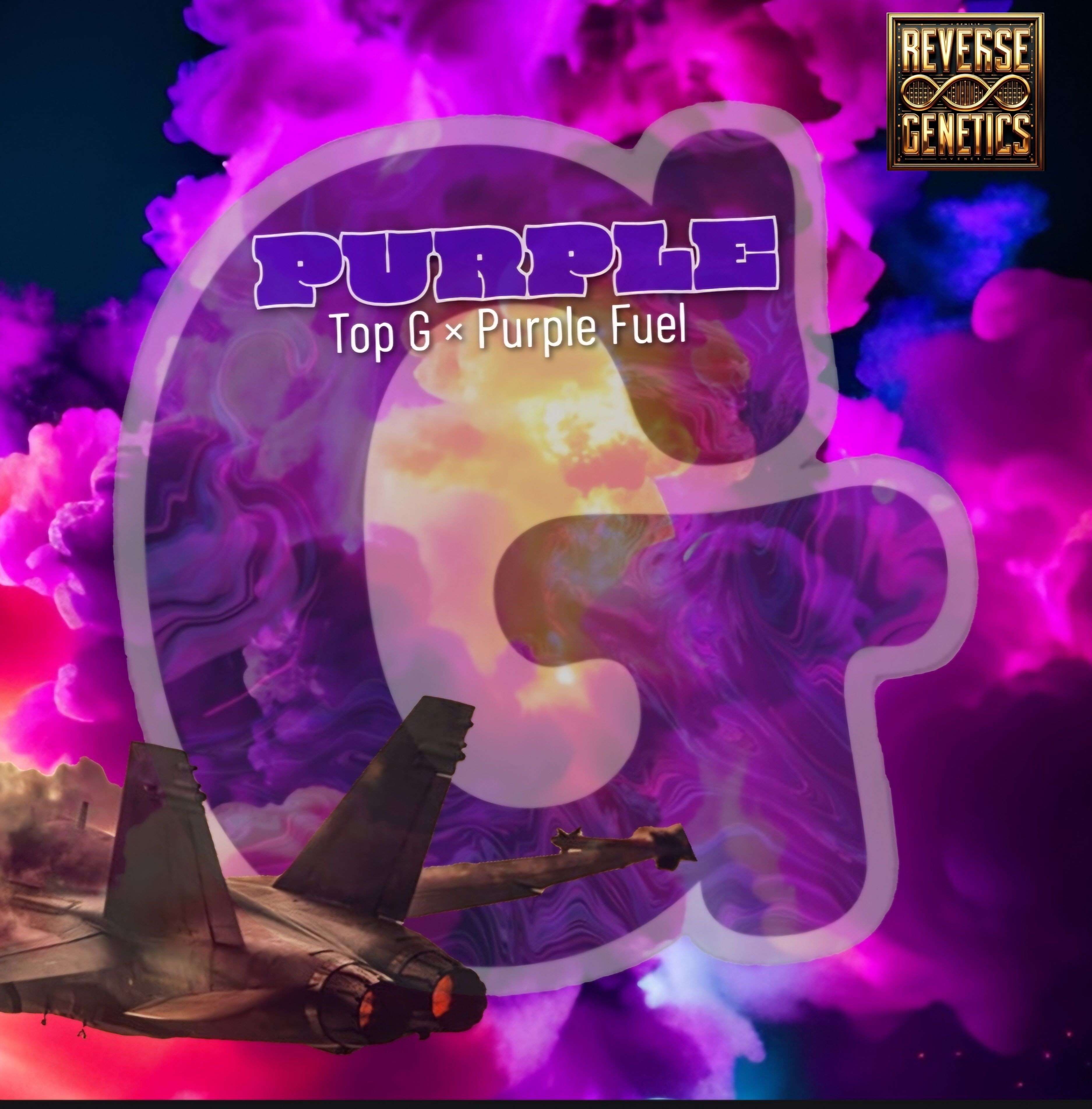 Purple G 6pack/Fems